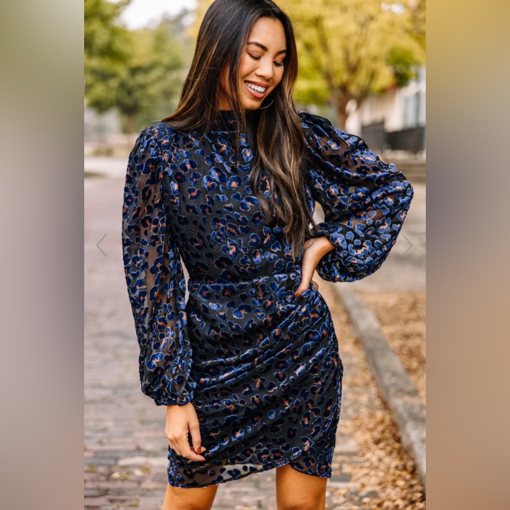 LUSH navy & pink cheeta dress